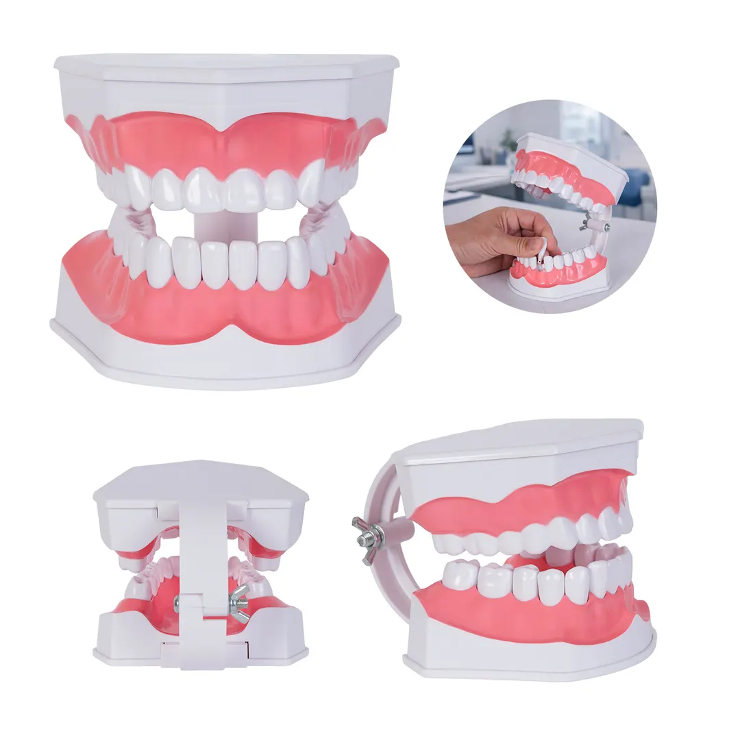 ODONTO CP 159 Blanco — clave CP 159