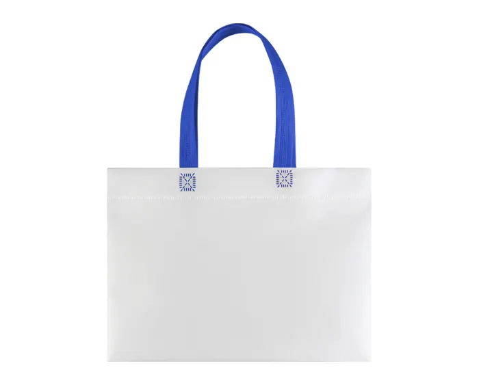 BOLSA ECOLÓGICA DELIVERY A3205 AZUL A3205 Azul
