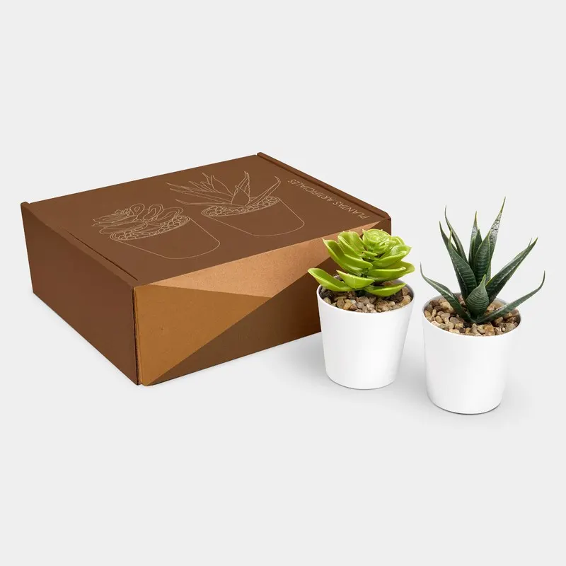 SET DE PLANTAS ALISO KTC 750 Blanco KTC 750 Blanco