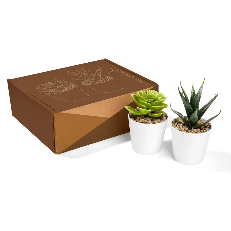 SET DE PLANTAS ALISO KTC 750 Blanco — clave KTC 750