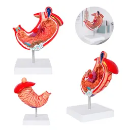 GASTRO CP 160